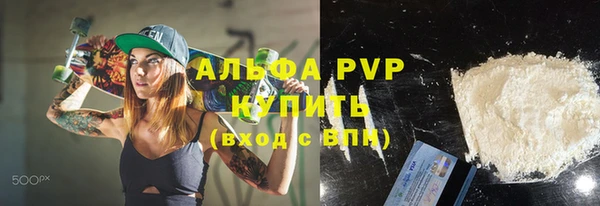 индика Бородино