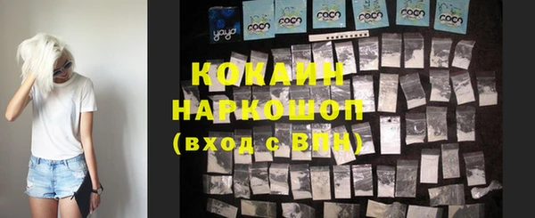 индика Бородино