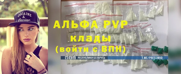 индика Бородино