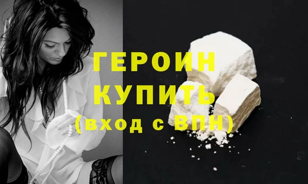 индика Бородино