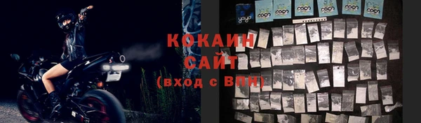 индика Бородино