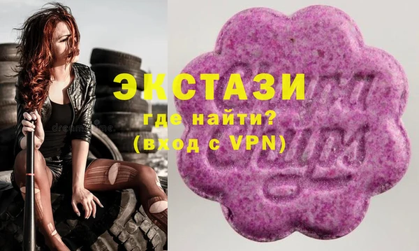 индика Бородино