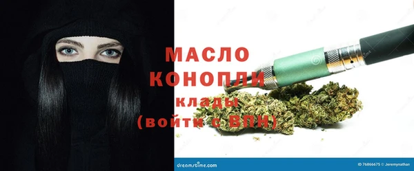 индика Бородино