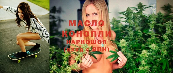 индика Бородино