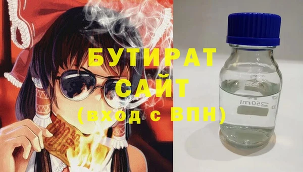 индика Бородино
