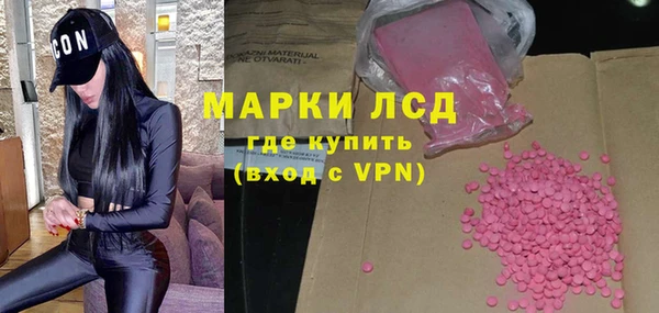 индика Бородино