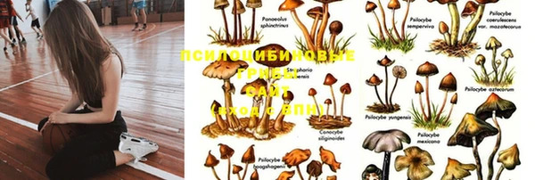 круглые Бронницы