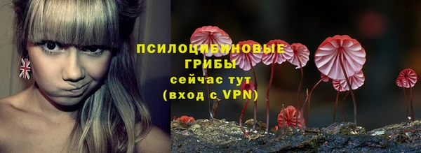 индика Бородино