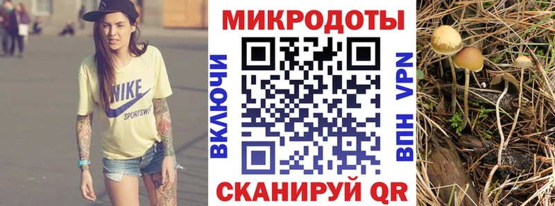 даркнет сайт Микунь площадка клад Псилоцибиновые грибы MAGIC MUSHROOMS